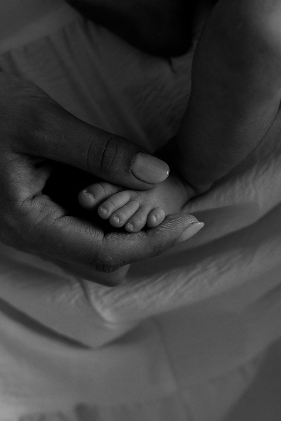 Primeiros Dias Newborn